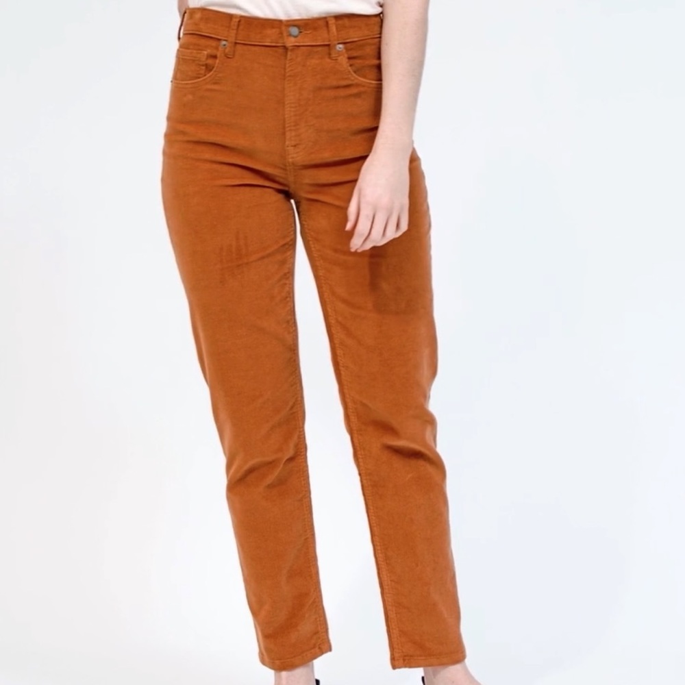 Everlane Rust Orange Corduroy Cropped Pants